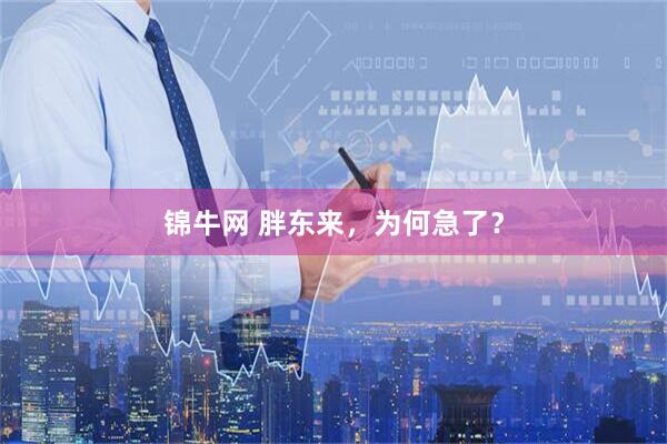 锦牛网 胖东来，为何急了？