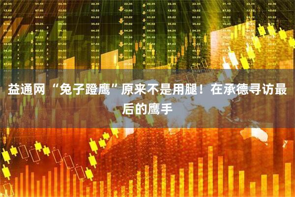 益通网 “兔子蹬鹰”原来不是用腿！在承德寻访最后的鹰手