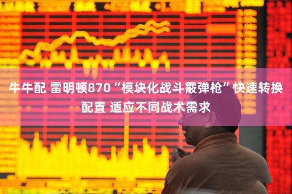 牛牛配 雷明顿870“模块化战斗霰弹枪”快速转换配置 适应不同战术需求