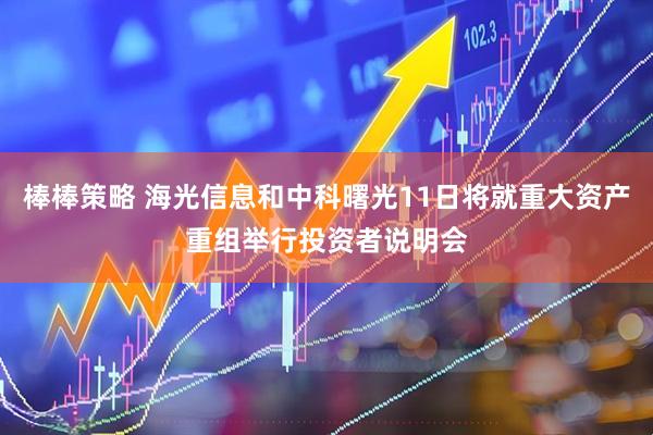 棒棒策略 海光信息和中科曙光11日将就重大资产重组举行投资者说明会