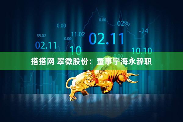 搭搭网 翠微股份：董事宁海永辞职