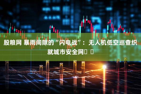 股粮网 暴雨间隙的“闪电战”：无人机低空巡查织就城市安全网​​