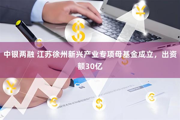 中银两融 江苏徐州新兴产业专项母基金成立，出资额30亿