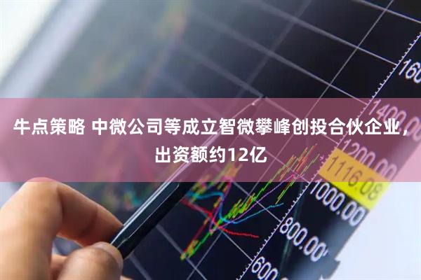 牛点策略 中微公司等成立智微攀峰创投合伙企业，出资额约12亿