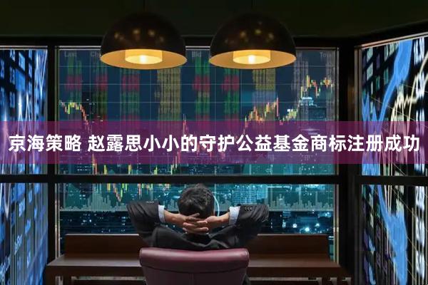 京海策略 赵露思小小的守护公益基金商标注册成功