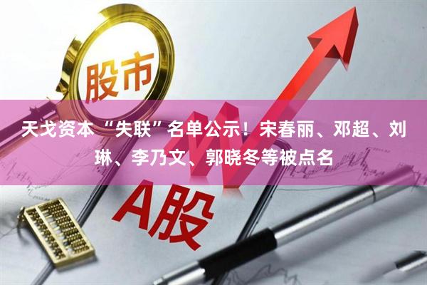 天戈资本 “失联”名单公示！宋春丽、邓超、刘琳、李乃文、郭晓冬等被点名